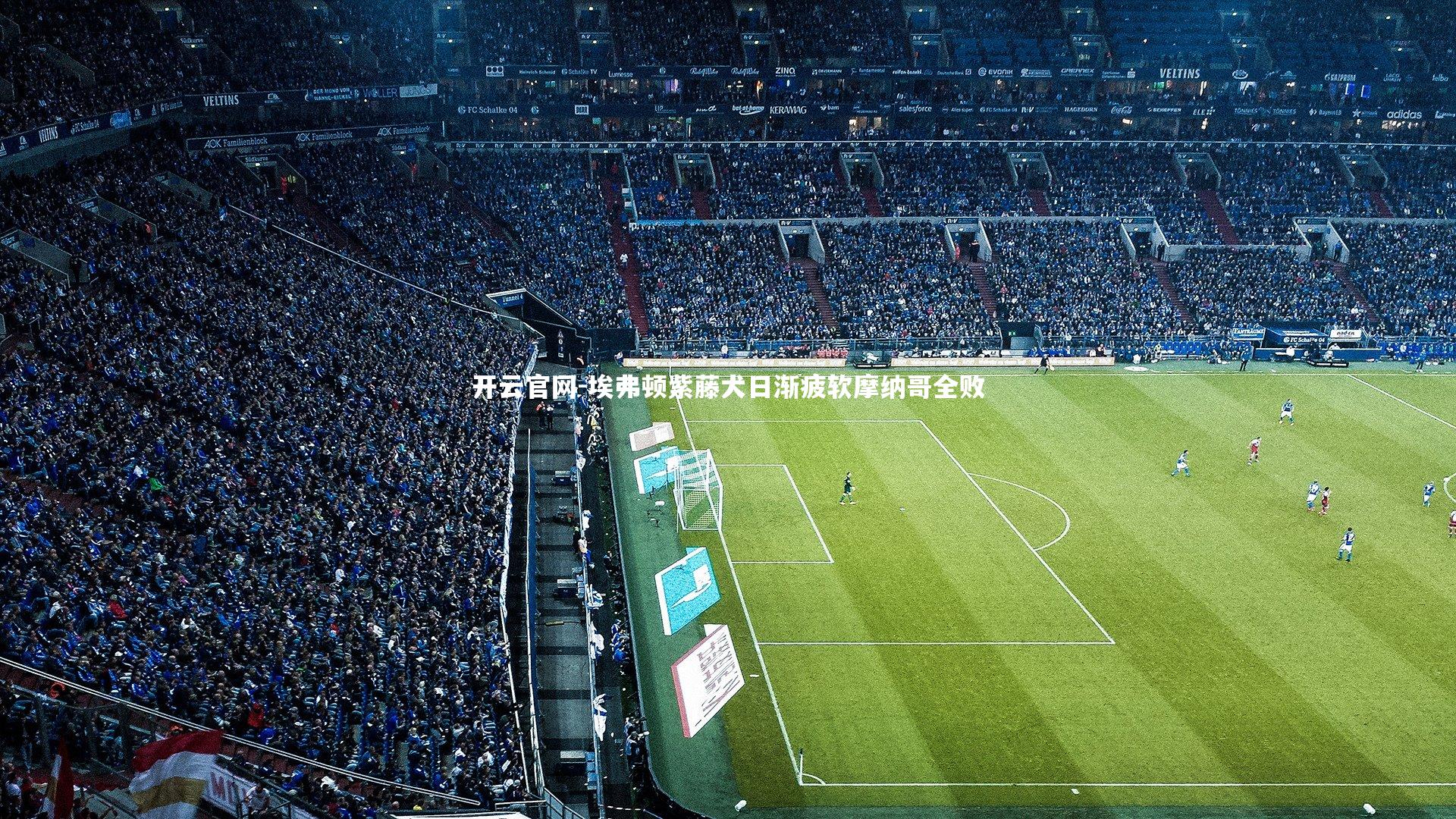 埃弗顿紫藤犬日渐疲软摩纳哥全败