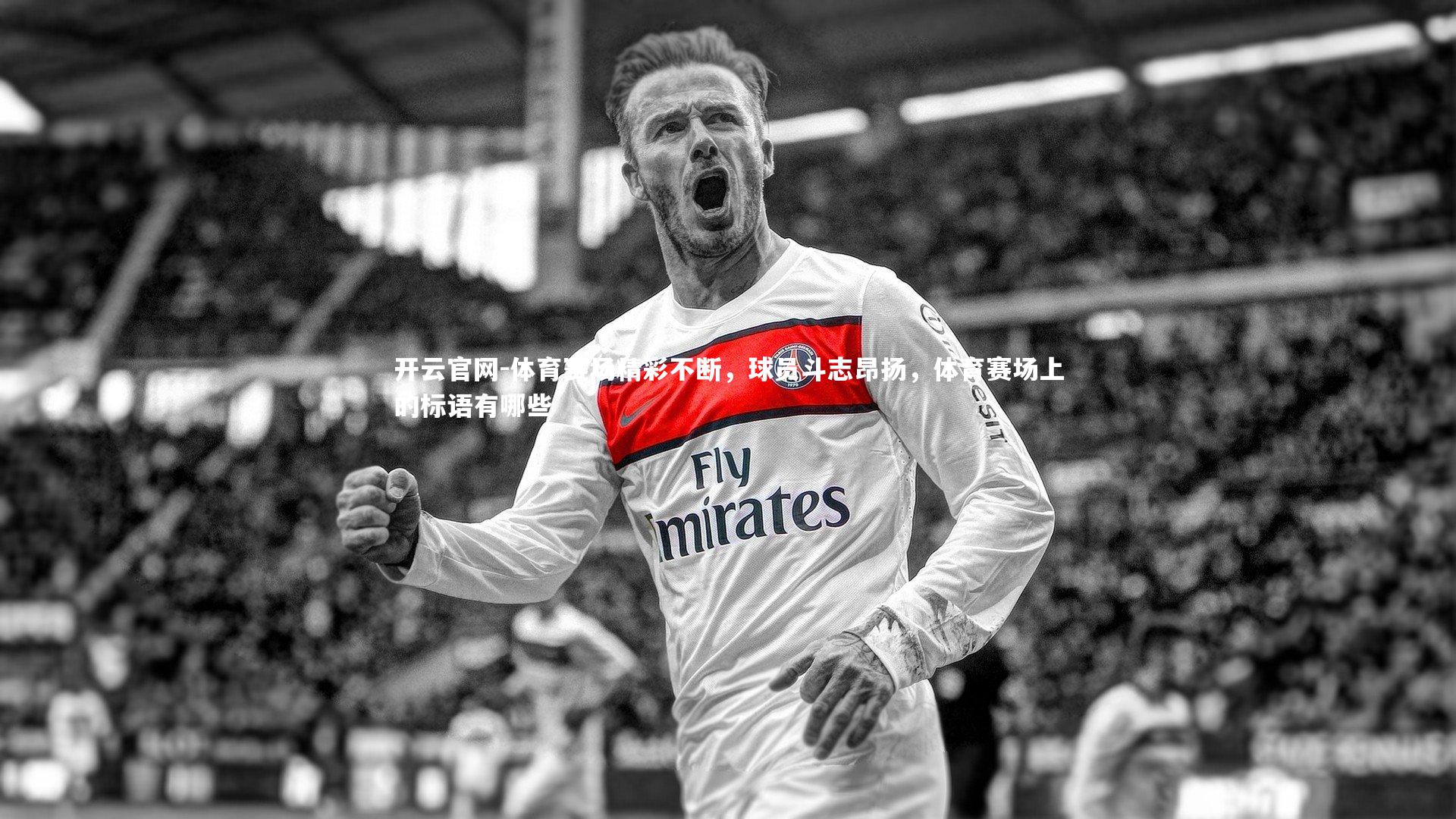 体育赛场精彩不断，球员斗志昂扬，体育赛场上的标语有哪些